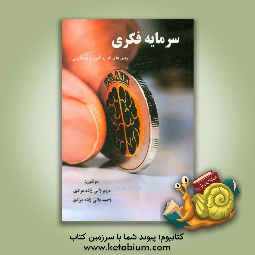 کتاب سرمایه فکری: روش های اندازه گیری و حسابرسی اثر مریم والی‌زاده‌مرادی