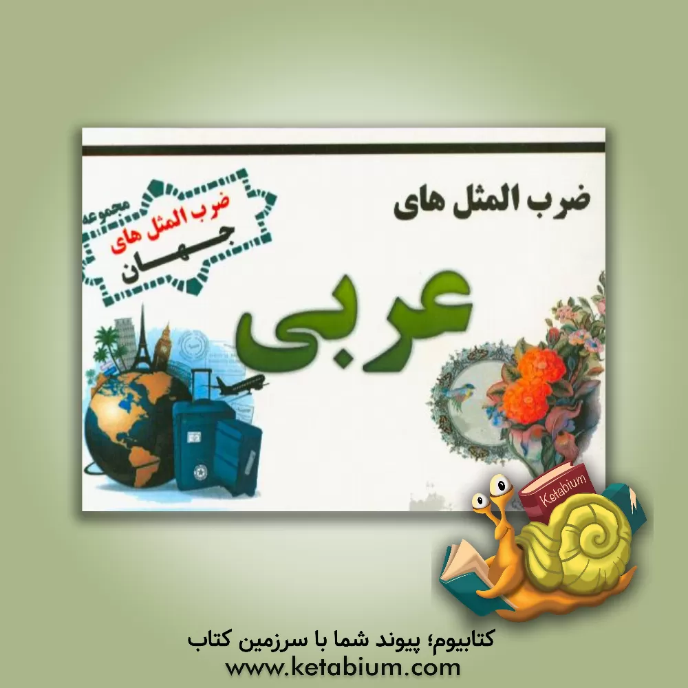 کتاب ضرب المثل های عربی اثر سیدشهراد شکیب