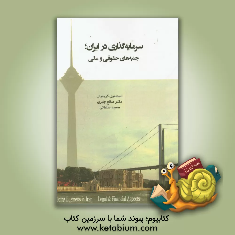 کتاب سرمایه گذاری در ایران (فارسی - ترکی): کتاب راهنمایی کاربردی برای دوران پس از تحریم اثر سعید سلطانی