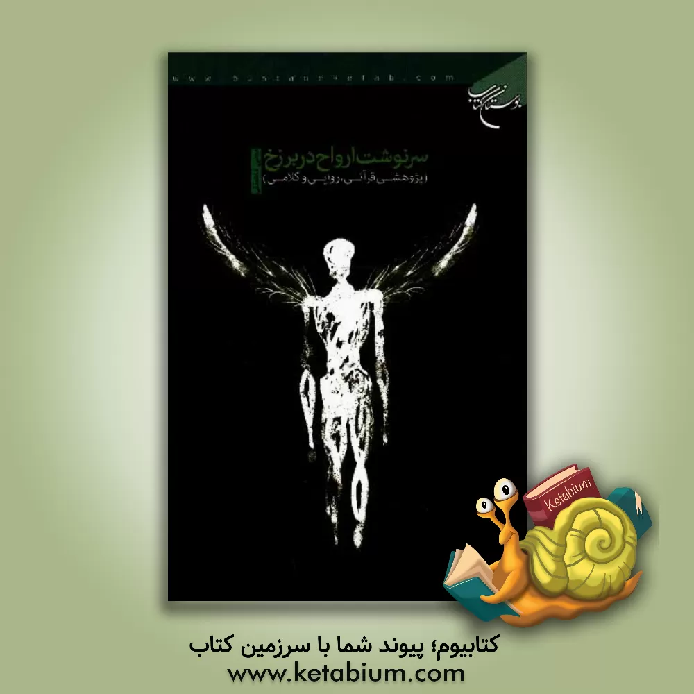 کتاب سرنوشت ارواح در برزخ (پژوهشی قرآنی، روایی و کلامی) اثر مجتبی شاه‌ملکی