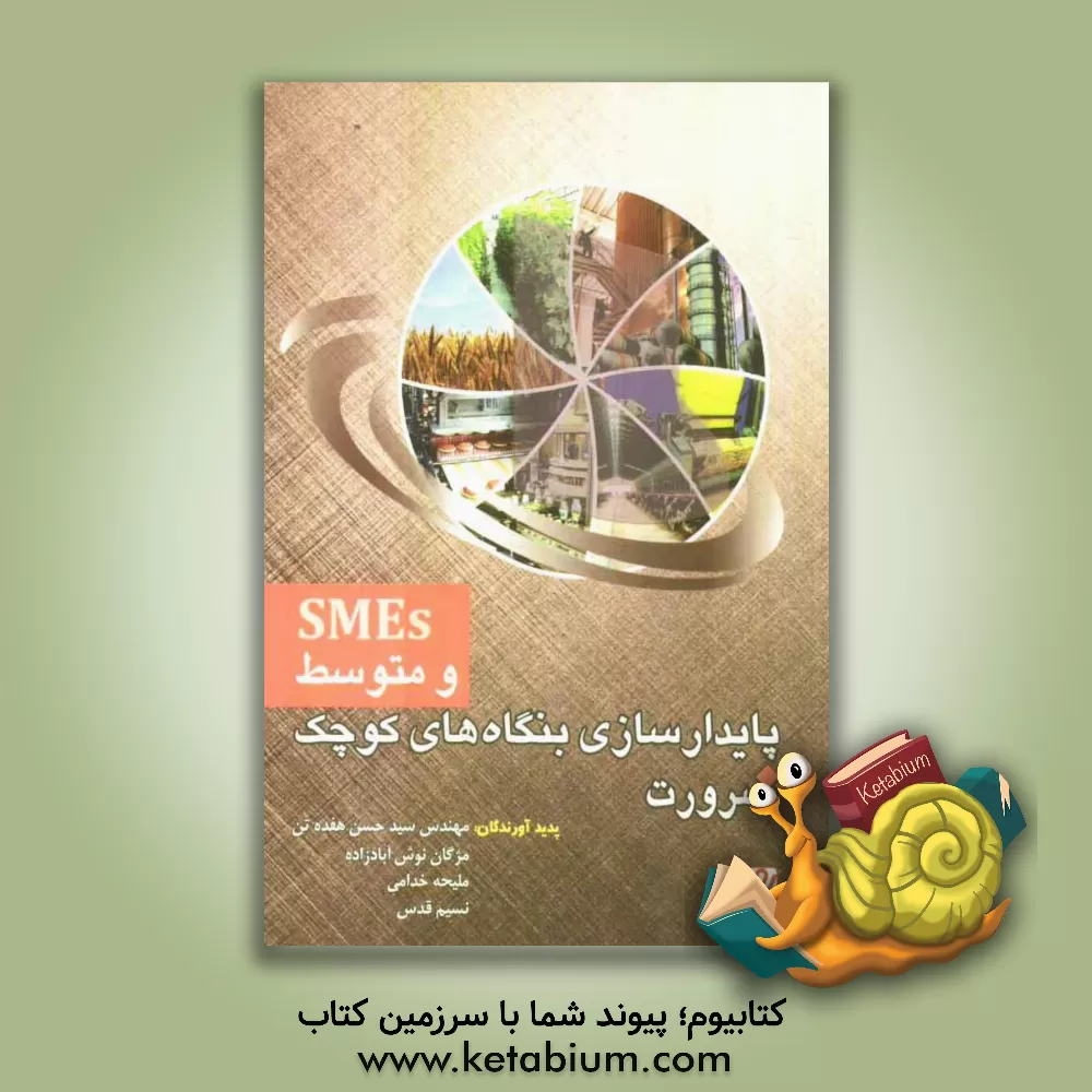 کتاب ضرورت پایدارسازی بنگاه های کوچک و متوسط (SMEs) اثر ملیحه خدامی