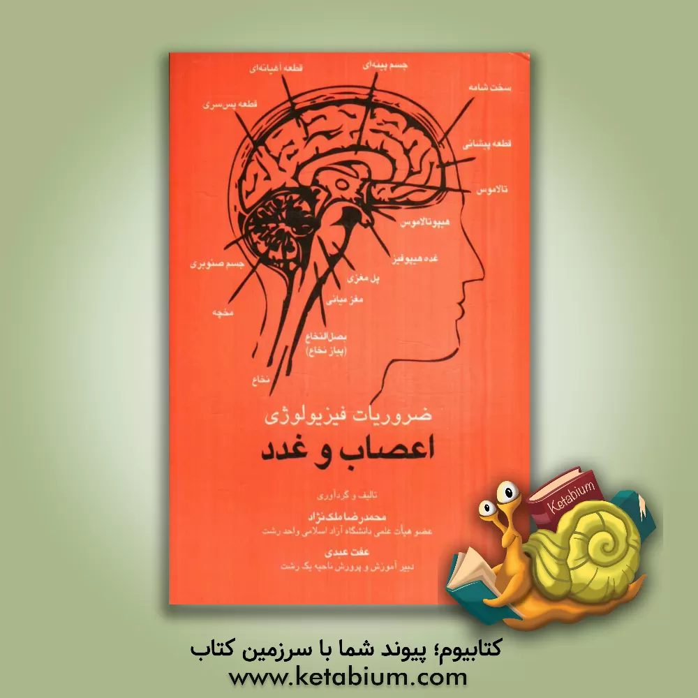 کتاب ضروریات فیزیولوژی اعصاب و غدد اثر محمدرضا ملک‌نژاد