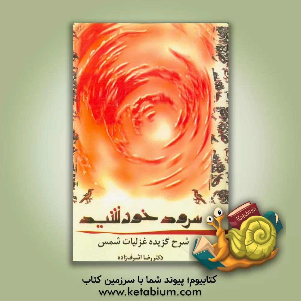 کتاب سرود خورشید: شرح گزیده دیوان شمس اثر رضا اشرف‌زاده