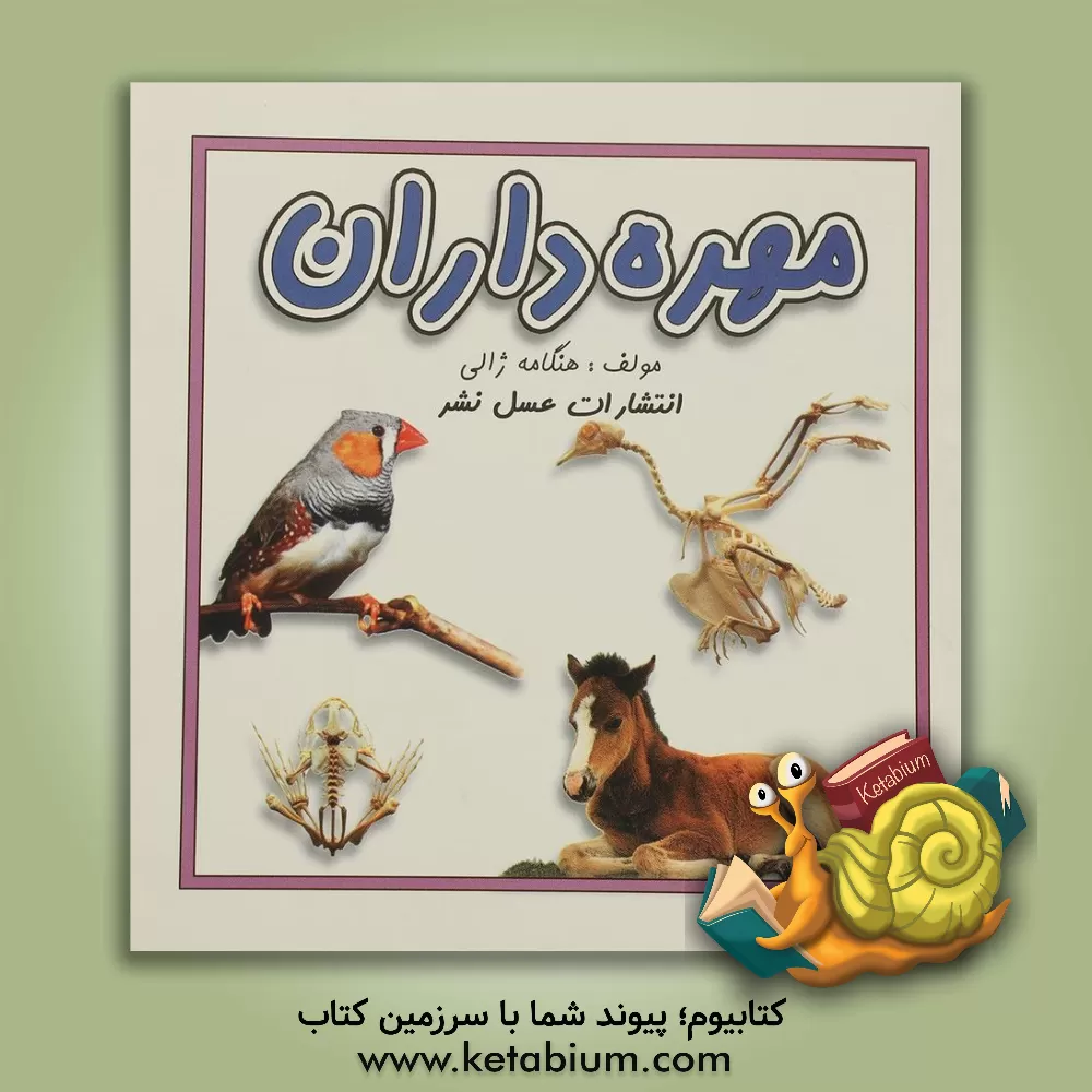 کتاب مهره داران |اثر هنگامه ژالی