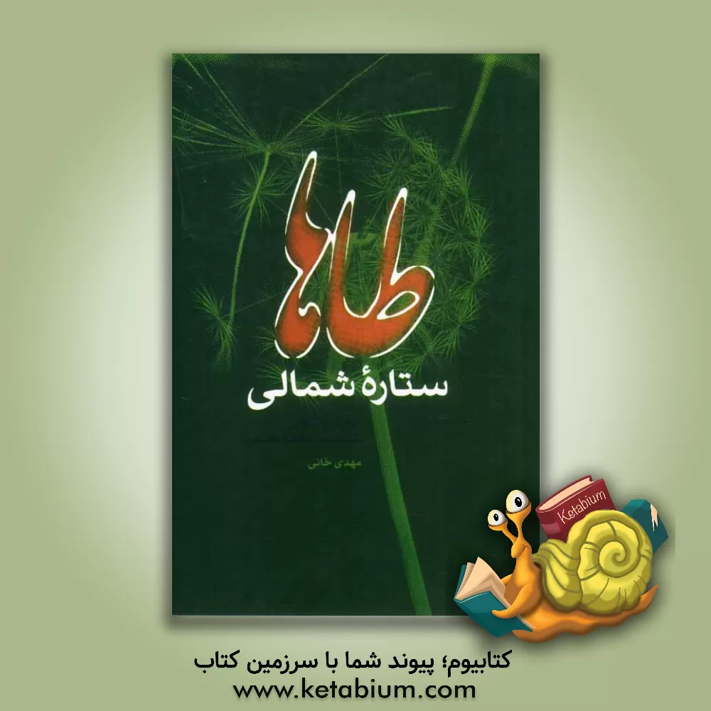 کتاب طاها، ستاره شمالی: مروری بر زندگی شهیده سیده طاهره هاشمی اثر مهدی خانی