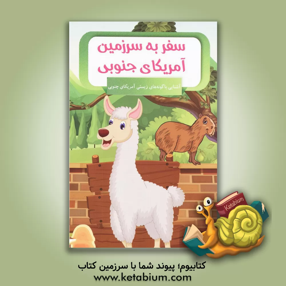 کتاب سفر به سرزمین آمریکای جنوبی |اثر امیر خیرخواه