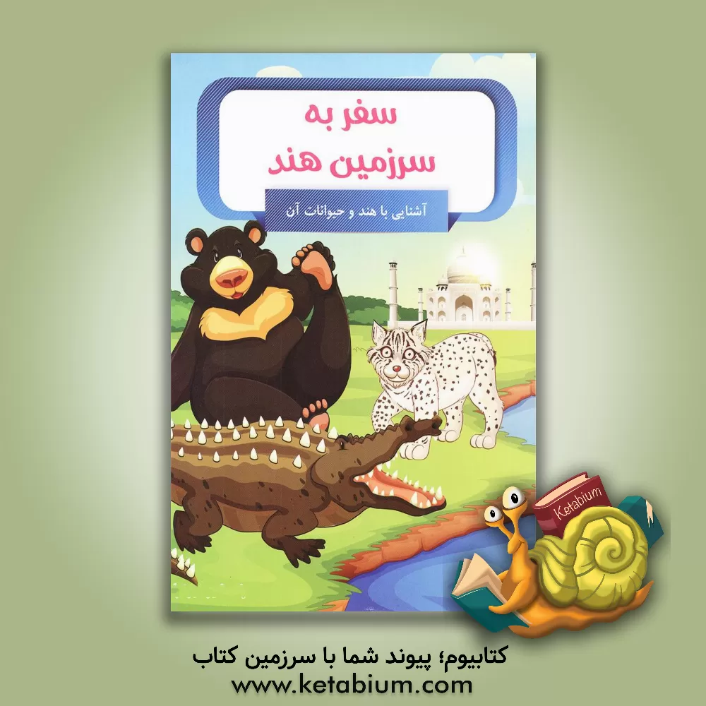 کتاب سفر به سرزمین هند اثر امیر خیرخواه