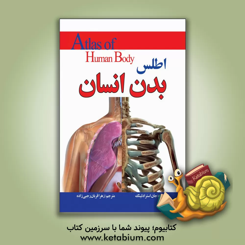 کتاب اطلس بدن انسان اثر جان استرادلینگ