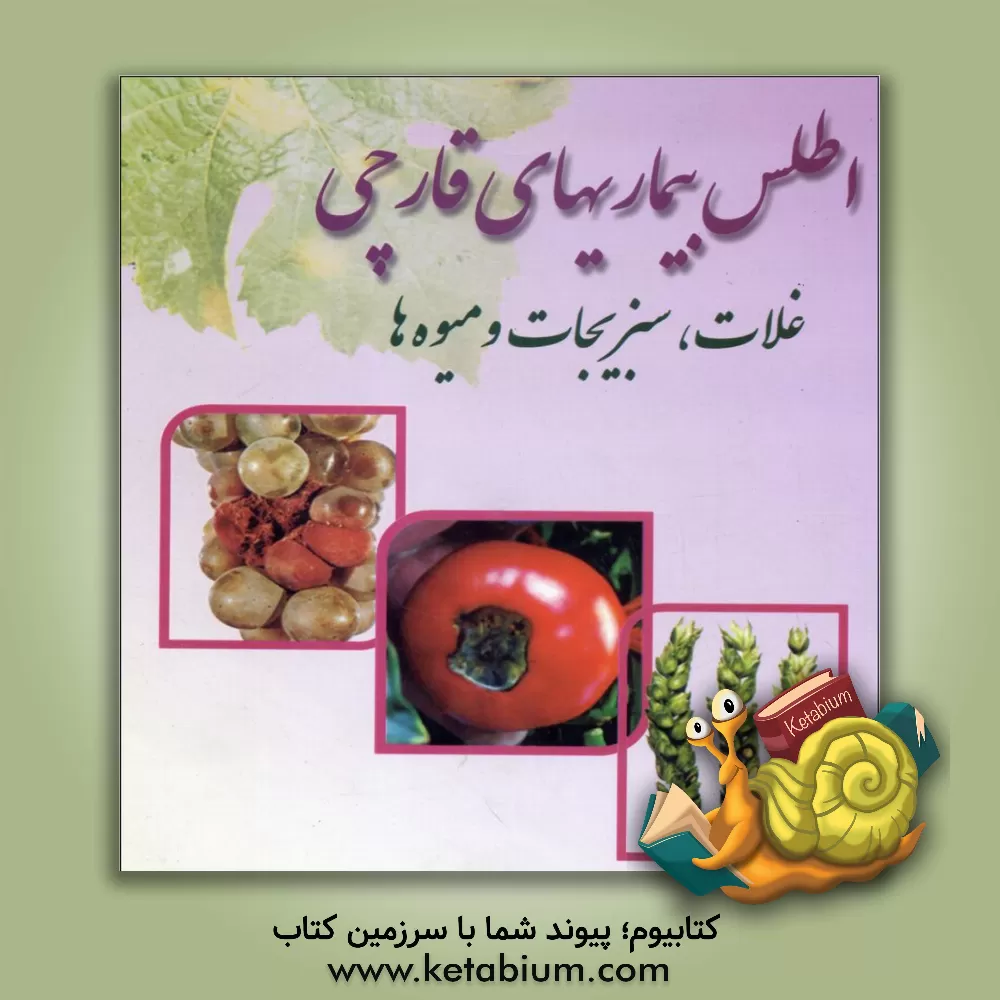 کتاب اطلس بیماریهای قارچی غلات، سبزیجات و میوه ها اثر ساسان صادقی