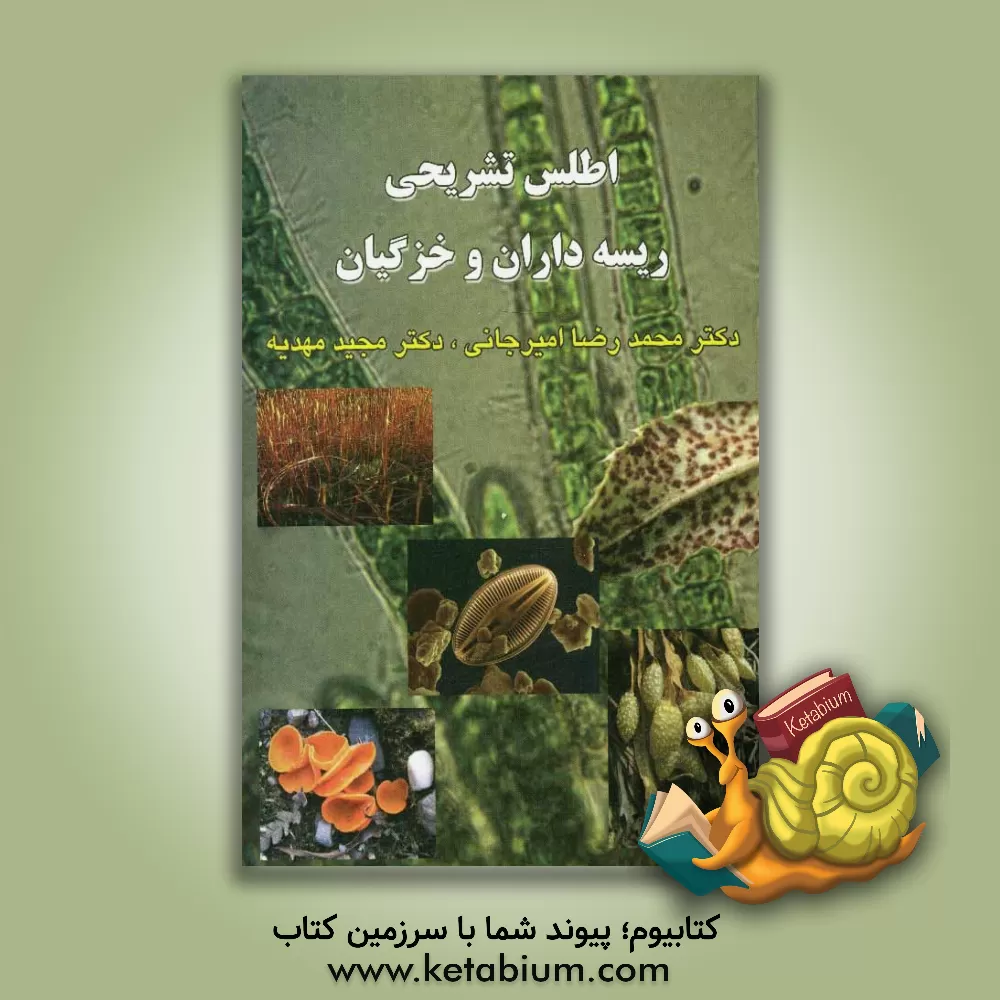 کتاب اطلس تشریحی ریسه داران و خزگیان اثر محمدرضا امیرجانی