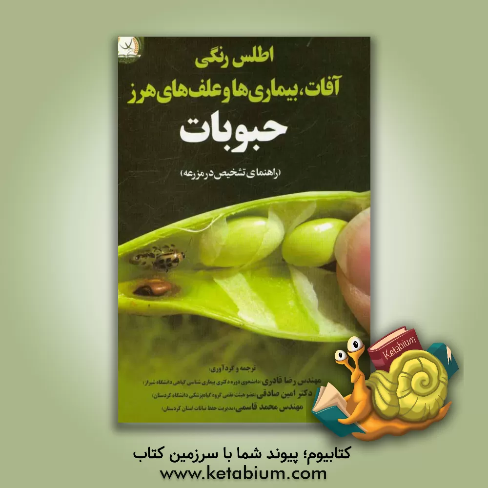 کتاب اطلس رنگی آفات، بیماری ها و علف های هرز حبوبات (راهنمای تشخیص در مزرعه) اثر محمد قاسمی