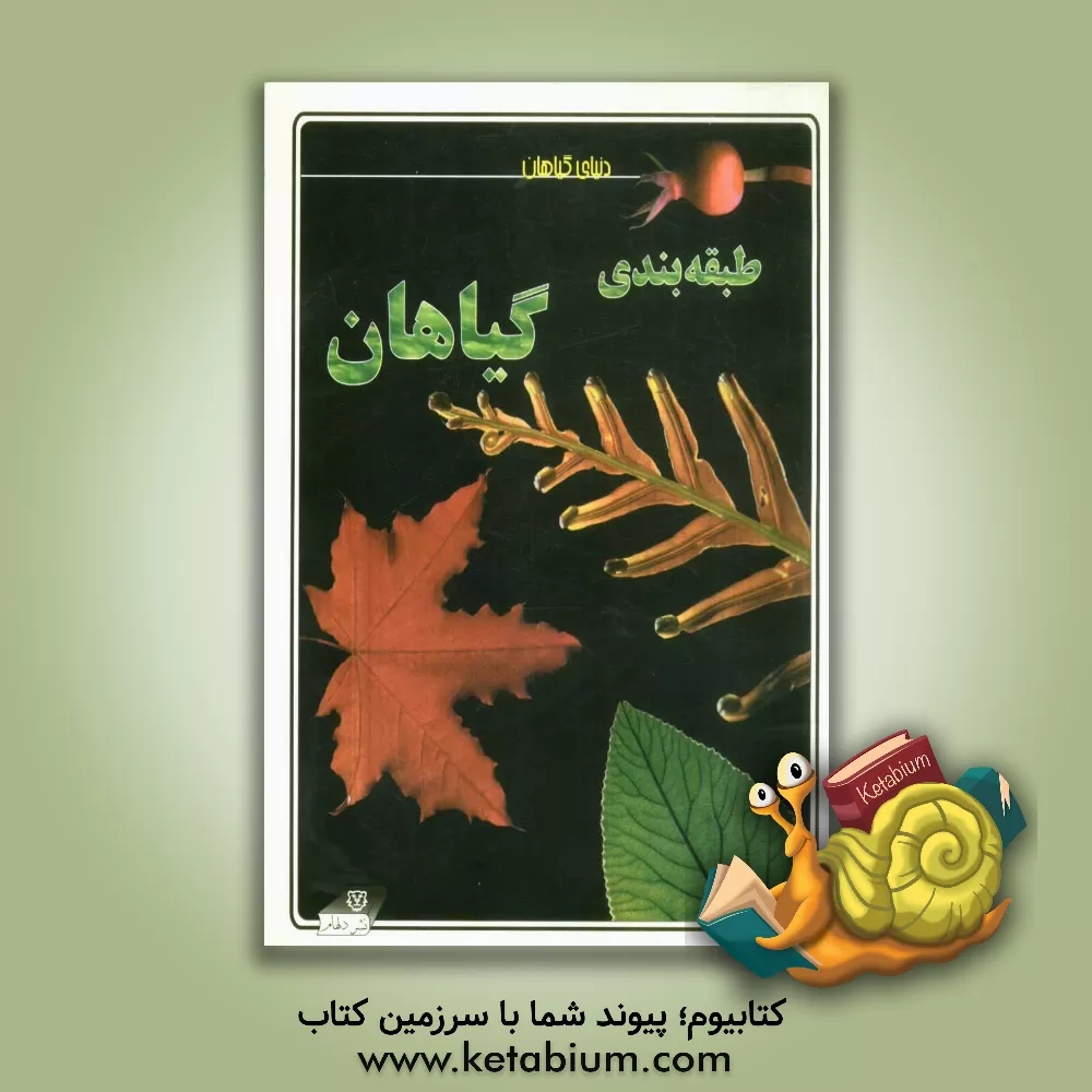 کتاب طبقه بندی گیاهان اثر لوئیز اسپیلزبری