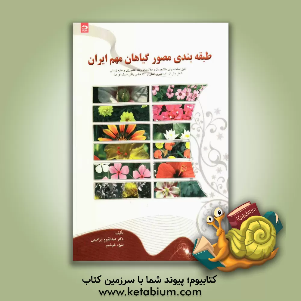 کتاب طبقه بندی مصور گیاهان مهم ایران (دولپه ای ها) اثر عبدالقیوم ابراهیمی