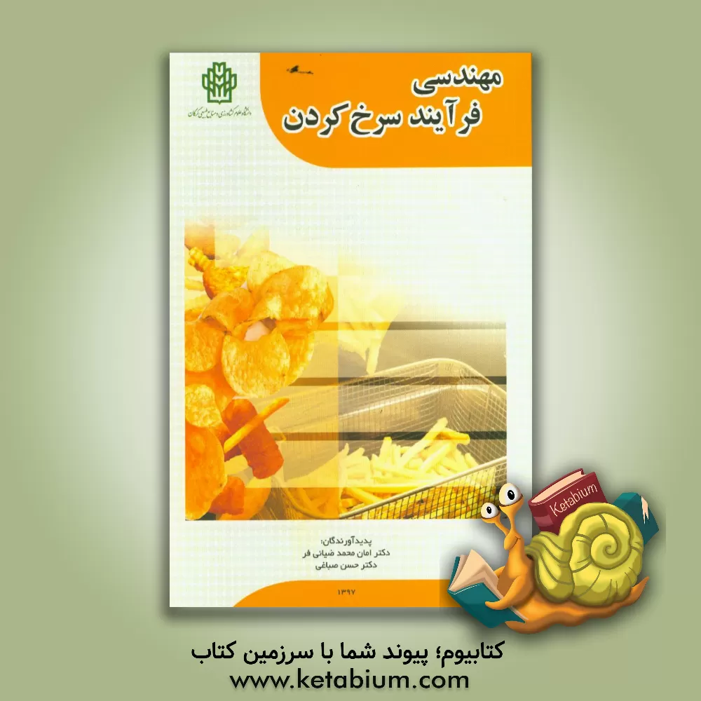 کتاب مهندسی فرآیند سرخ کردن اثر امان‌محمد ضیائی‌فر