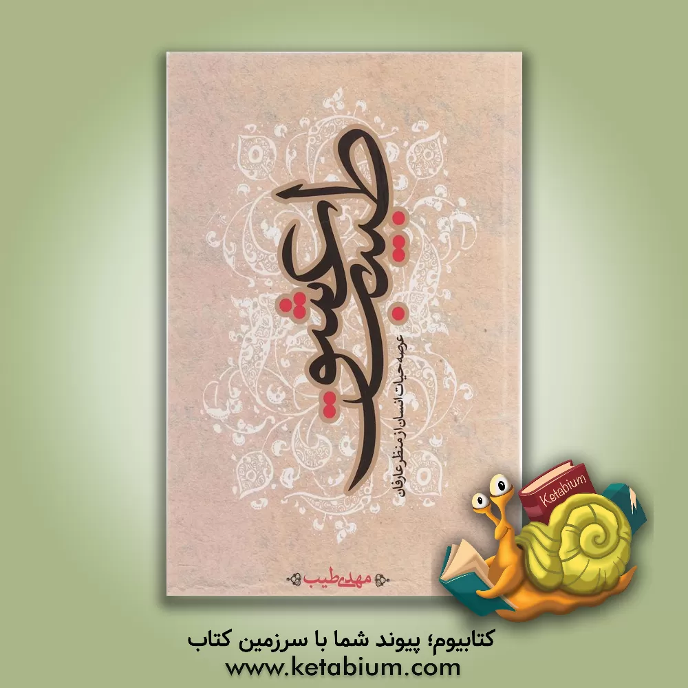 کتاب طبیب عشق: عرصه ی حیات انسان از منظر عارفان اثر مهدی طیب