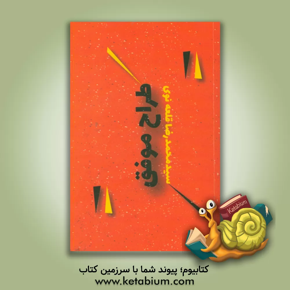 کتاب طراح موفق: دیزاینر موفق اثر سیدمحمدرضا قلعه‌نوی