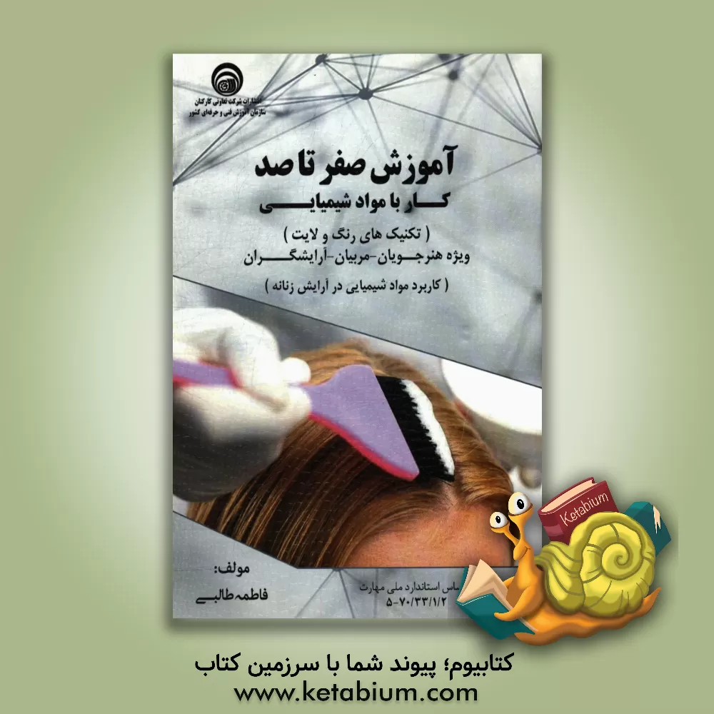 کتاب آموزش صفر تا صد کار با مواد شیمیایی: تکنیک رنگ و لایت اثر فاطمه طالبی