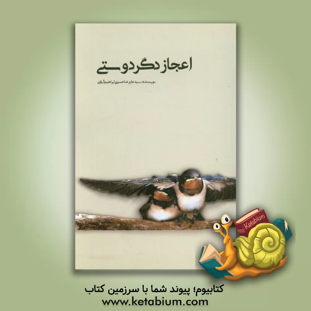 کتاب اعجاز دگردوستی اثر سیدعلیرضا حسینی‌ابراهیم‌آبادی