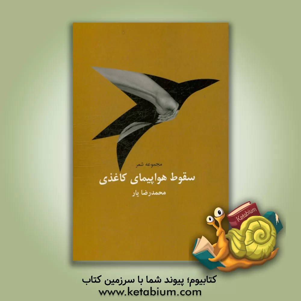 کتاب سقوط هواپیمای کاغذی |اثر محمدرضا عرب یارمحمدی