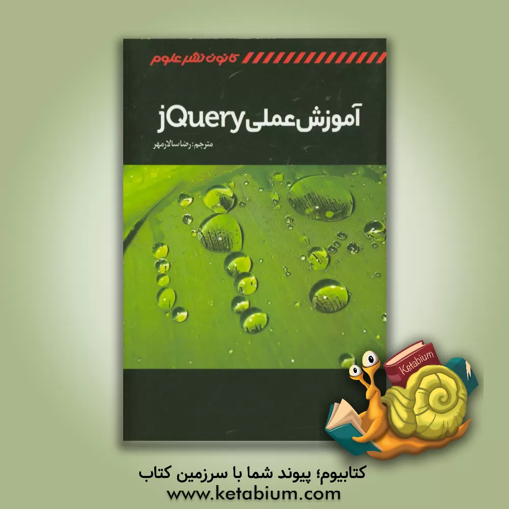 کتاب آموزش عملی j Query |اثر بیر بیبیولت