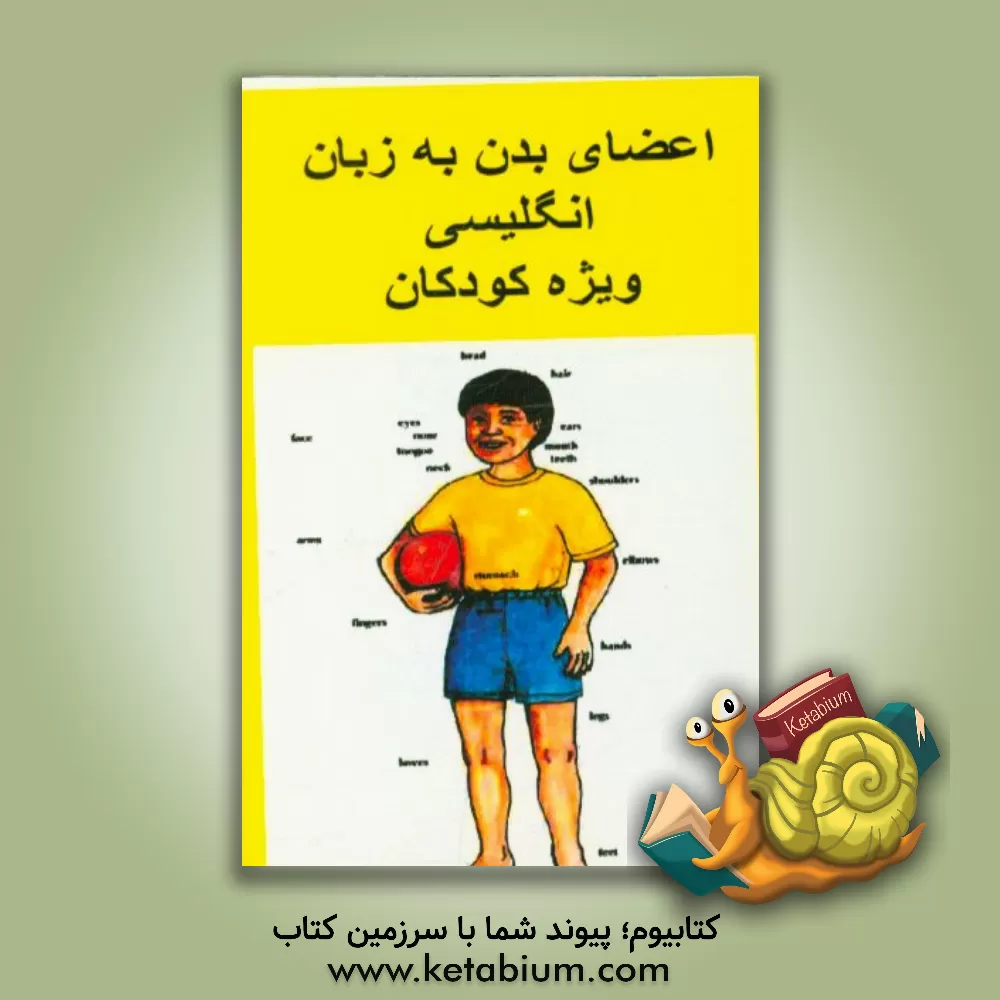 کتاب اعضای بدن به زبان انگلیسی ویژه کودکان اثر مهدی دانش