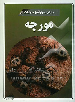 کتاب مورچه ها اثر ترزا گرینوی