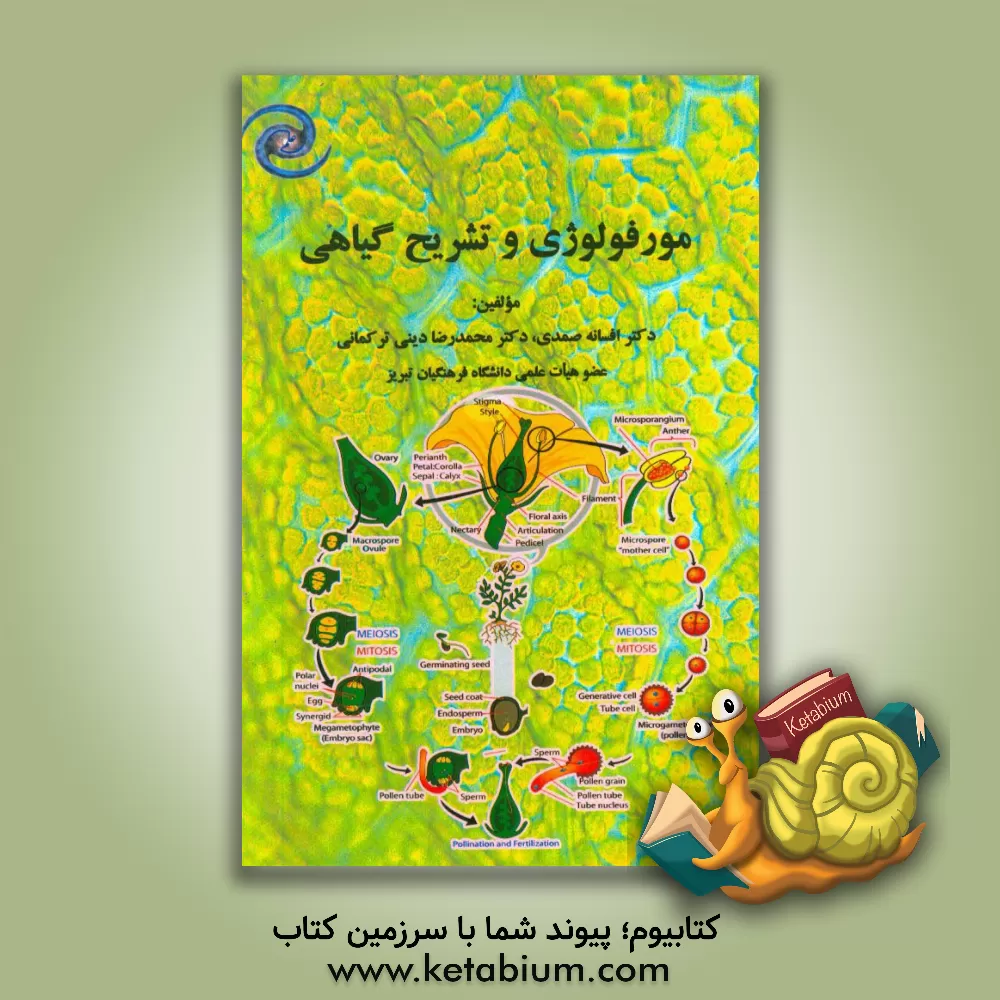 کتاب مورفولوژی و تشریح گیاهی |اثر افسانه صمدی