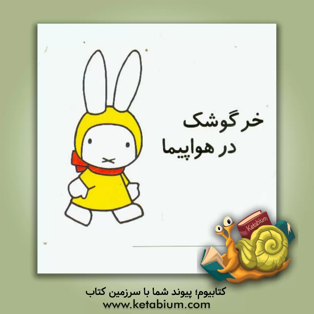 کتاب خرگوشک در هواپیما اثر دیک برونا