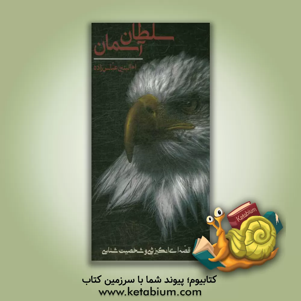 کتاب سلطان آسمان اثر ام‌البنین عباس‌زاده