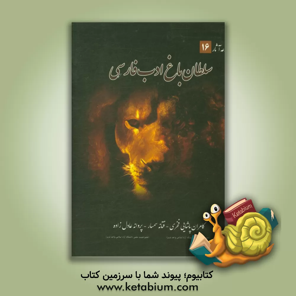 کتاب سلطان باغ ادب فارسی |اثر پروانه عادل زاده