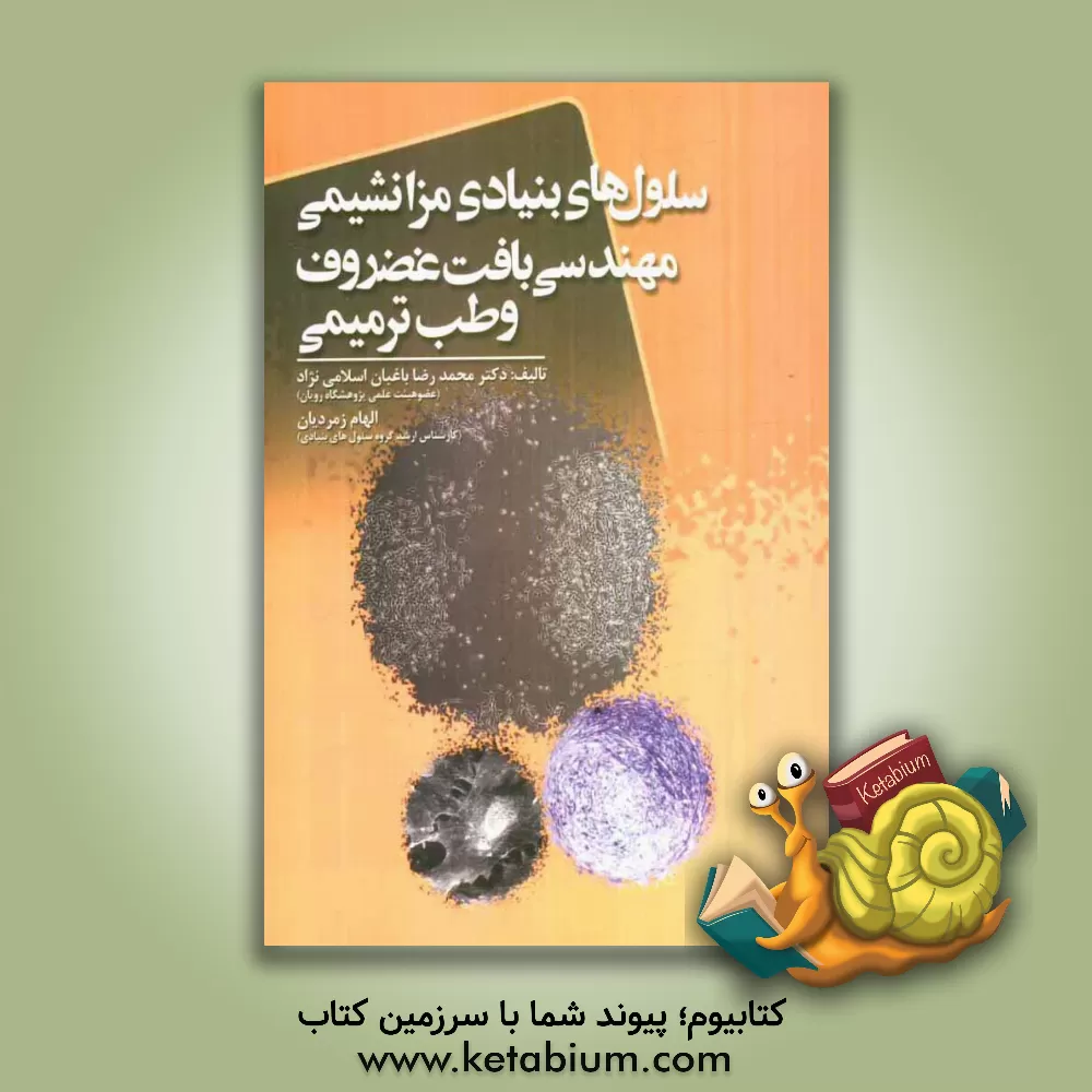 کتاب سلول های بنیادی مزانشیمی مهندسی بافت غضروف و طب ترمیمی اثر محمدرضا باغبان‌اسلامی‌نژاد