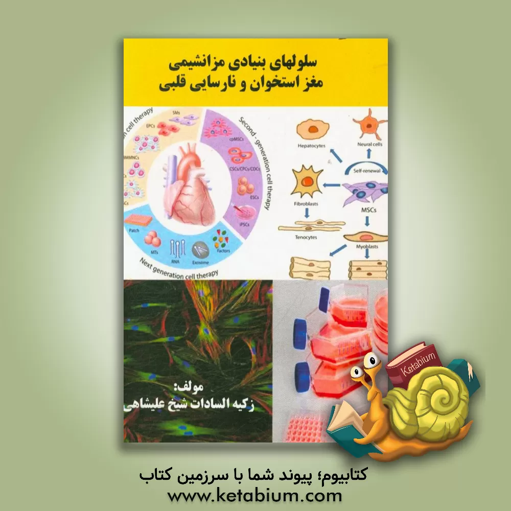 کتاب سلولهای بنیادی مزانشیمی مغز استخوان و نارسایی قلبی اثر زکیه‌السادات‌ شیخ‌علیشاهی