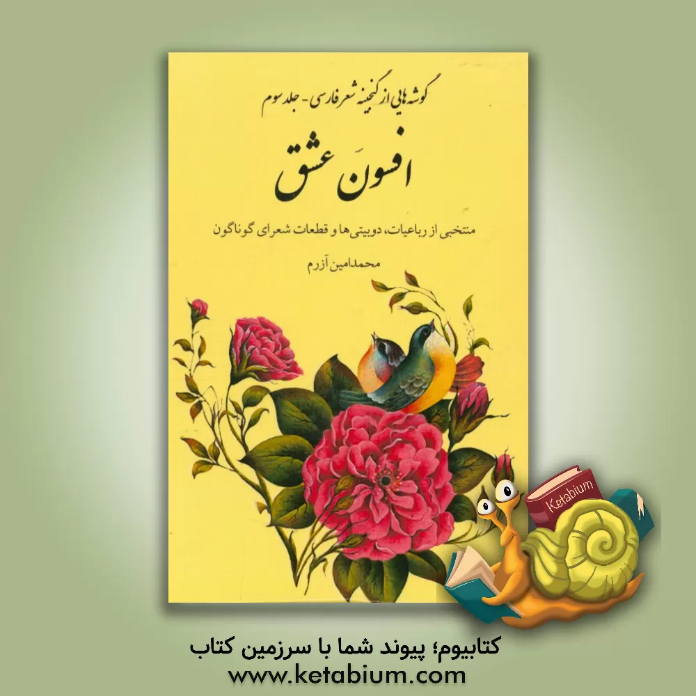 کتاب افسون عشق (منتخبی از ابیات دلنشین و ماندگار شعرای گوناگون) اثر کبری محمودی