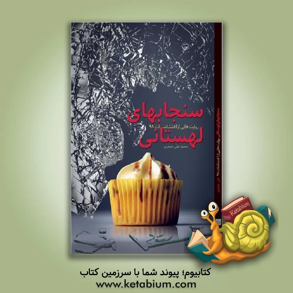 کتاب سنجاب های لهستانی اثر محمدعلی جعفری