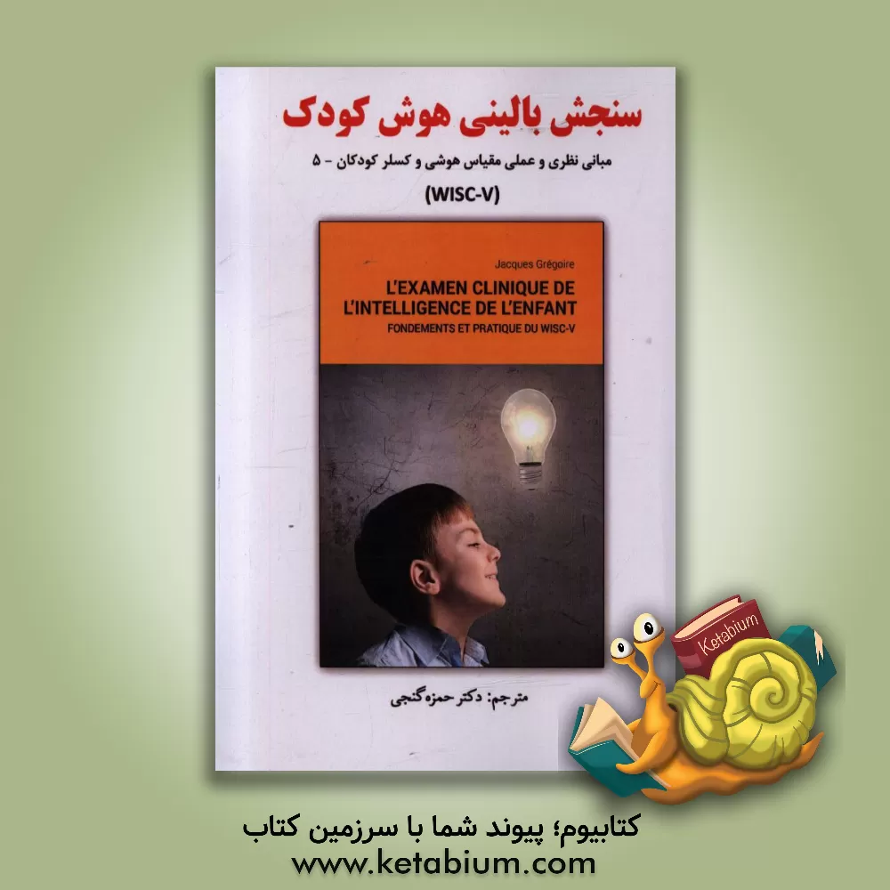 کتاب سنجش بالینی هوش کودک: مبانی نظری و عملی مقیاس هوشی وکسلر کودکان - 5 (WISC-V) اثر ژاک گرگوار
