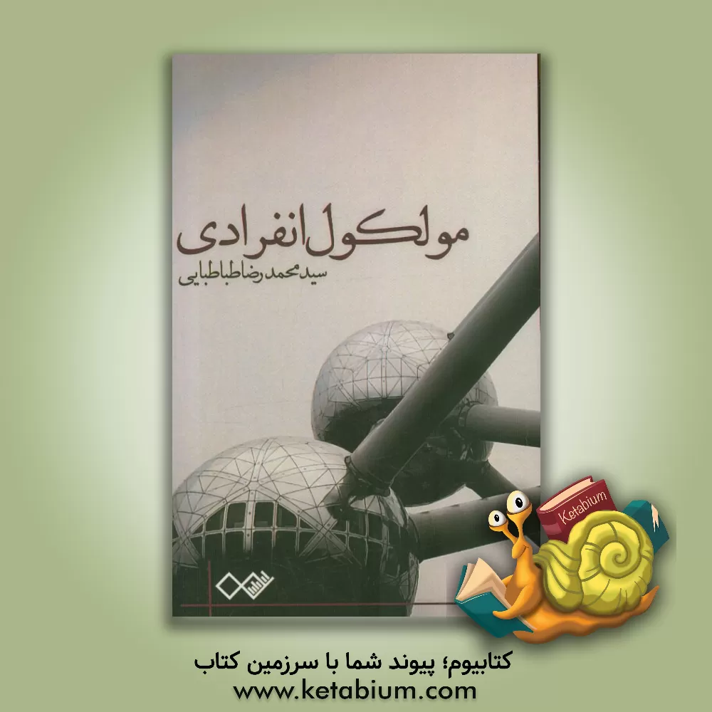 کتاب مولکول انفرادی اثر سیدمحمدرضا طباطبایی