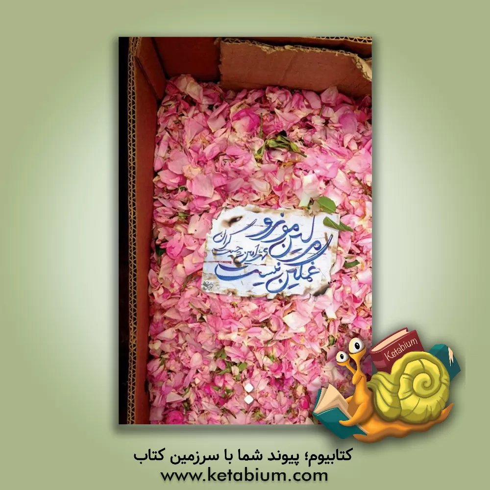 کتاب مولین مونرو غمگین نیست اثر محمدامین چیتگران