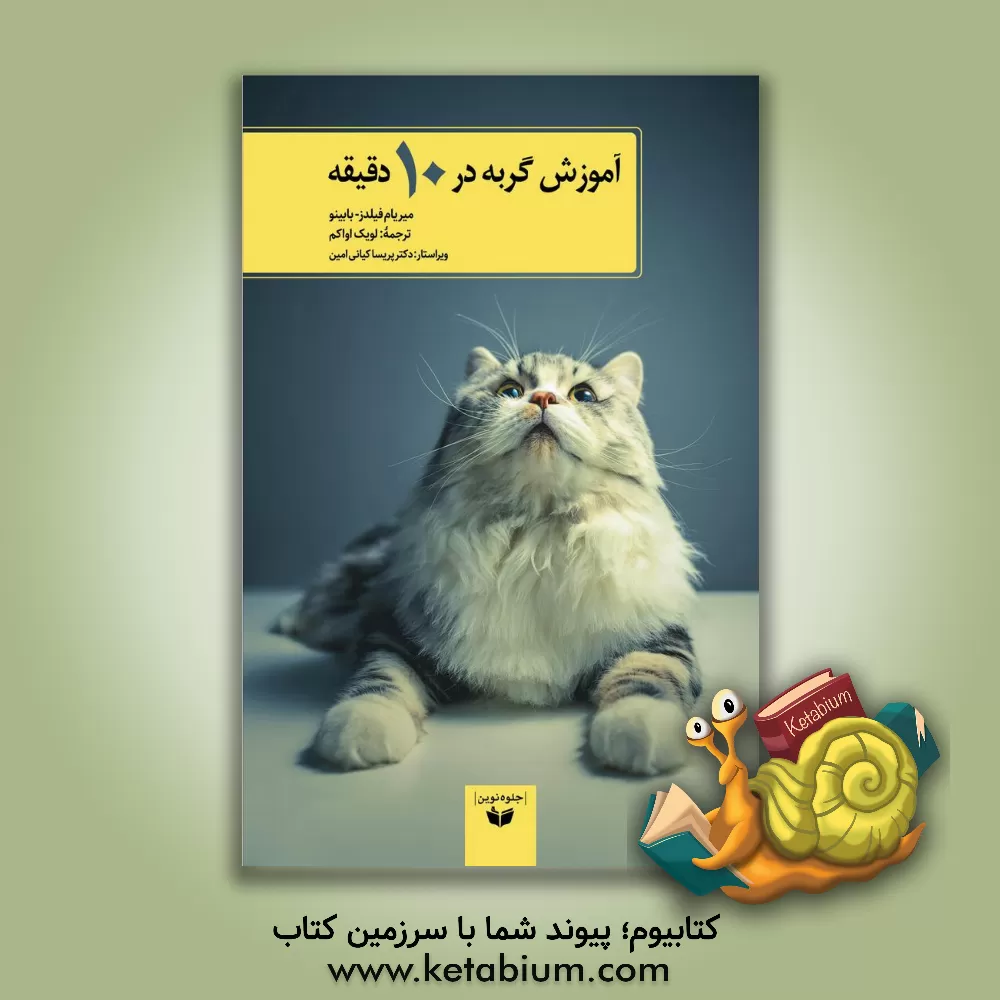 کتاب آموزش گربه در 10 دقیقه اثر بابینومیریام فیلدز