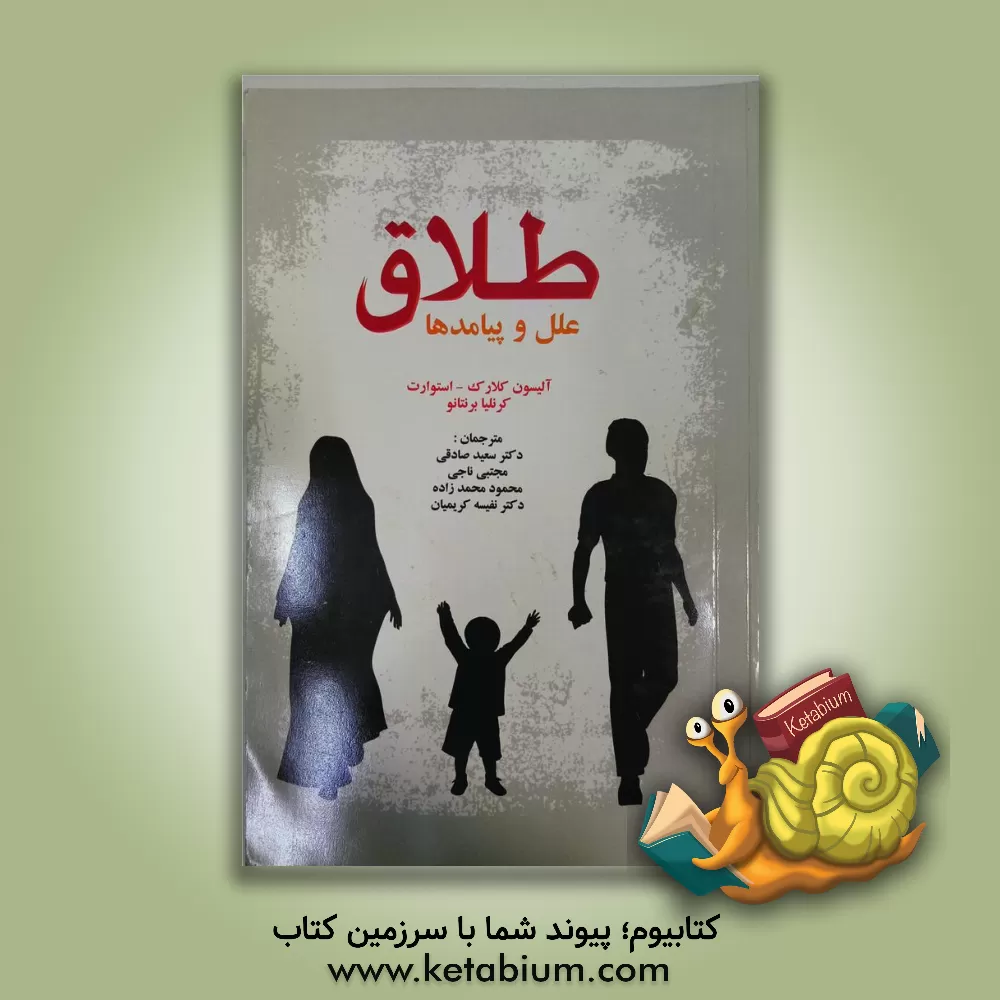 کتاب طلاق: علل و پیامدها اثر آلیسون کلارک‌استواوت