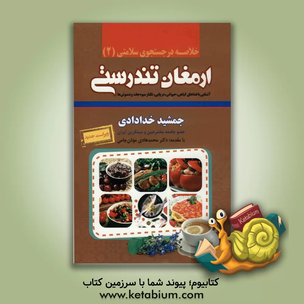 کتاب خلاصه ارمغان تندرستی: آشنایی با غذاهای گیاهی، حیوانی و دریایی، نکتار میوه جات و انواع دم نوش ها اثر جمشید خدادادی