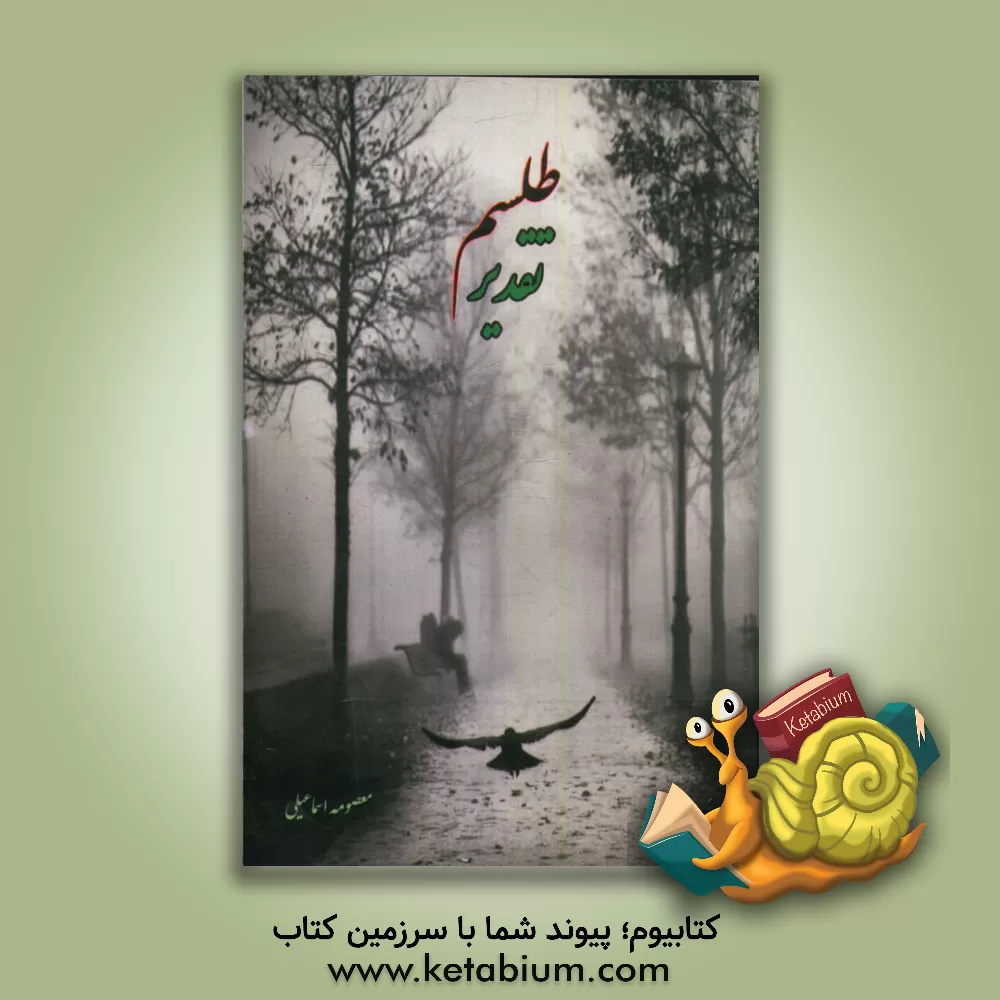 کتاب طلسم تقدیر اثر معصومه اسماعیلی