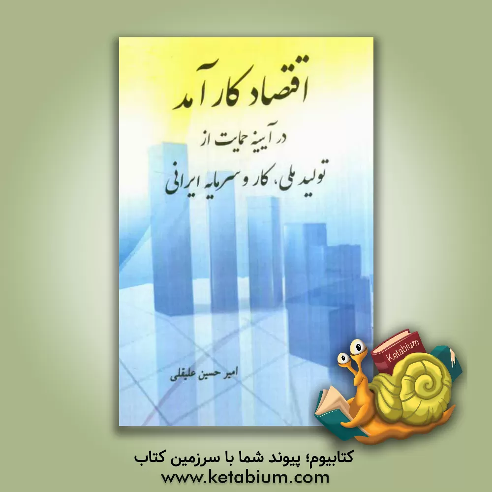 کتاب اقتصاد کارآمد در آیینه ی حمایت از تولید ملی، کار و سرمایه ایرانی اثر امیرحسین علیقلی