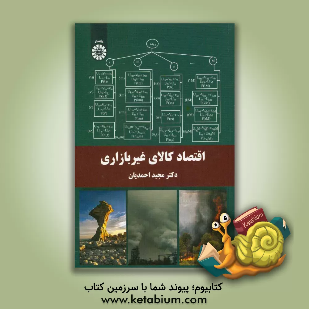 کتاب اقتصاد کالای غیربازاری اثر مجید احمدیان