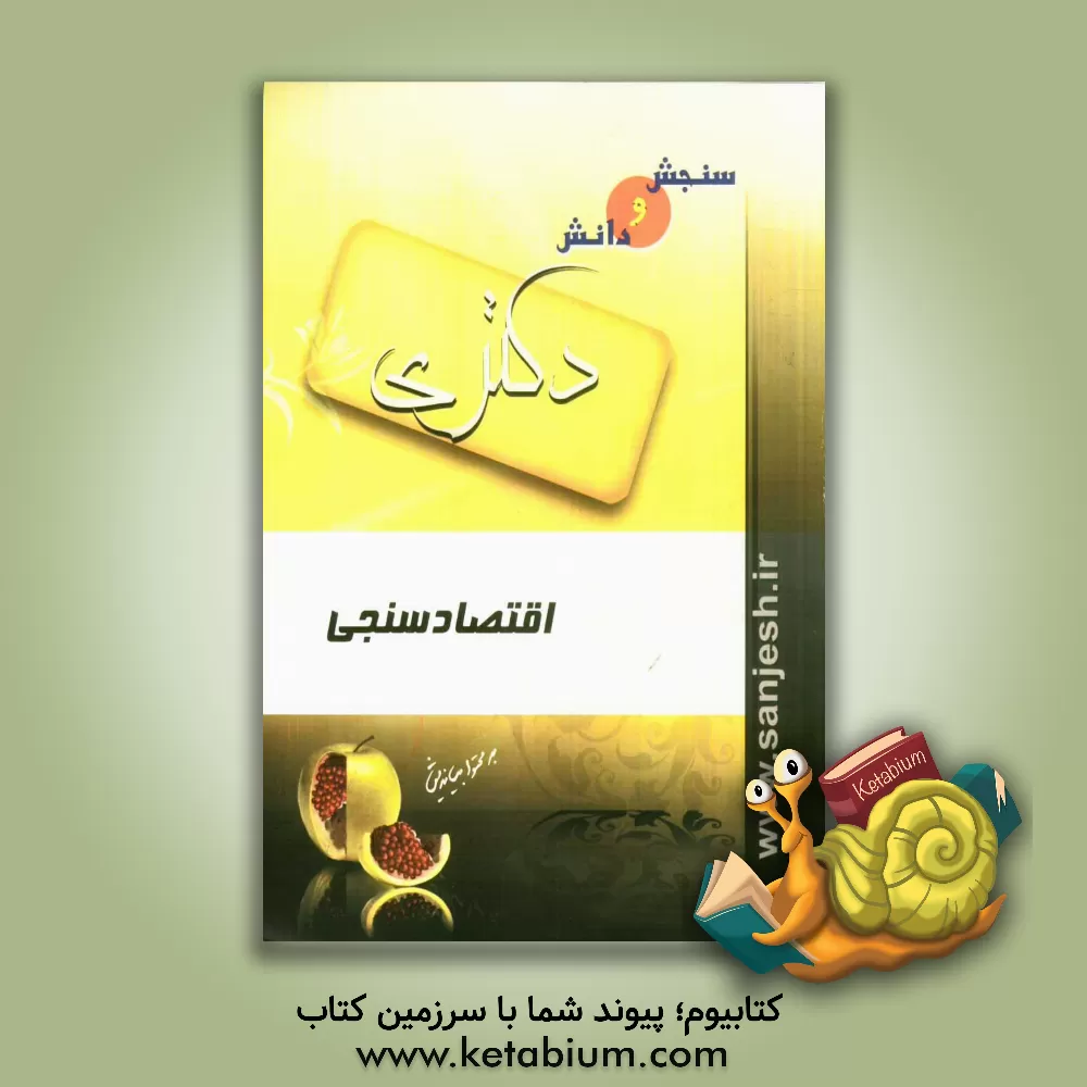 کتاب اقتصادسنجی اثر صدیقه کیانی