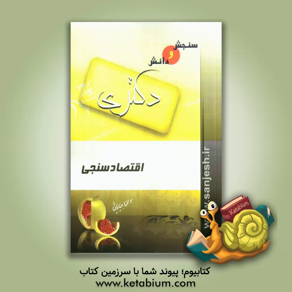 کتاب اقتصادسنجی (مقطع دکترا) اثر امیر دبیری