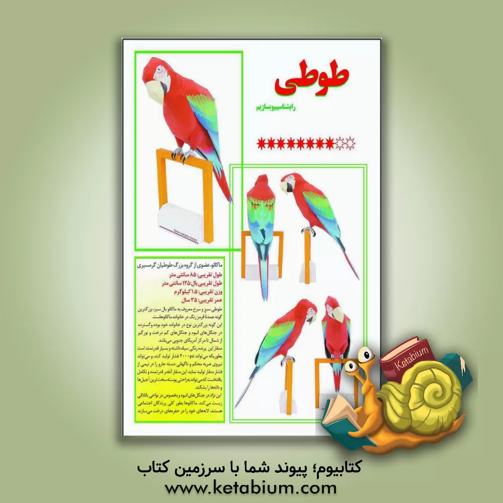 کتاب طوطی را بشناسیم و بسازیم |اثر مهناز محمددوست