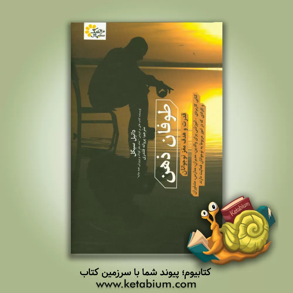 کتاب طوفان ذهن اثر دانیل‌جی. سیگل