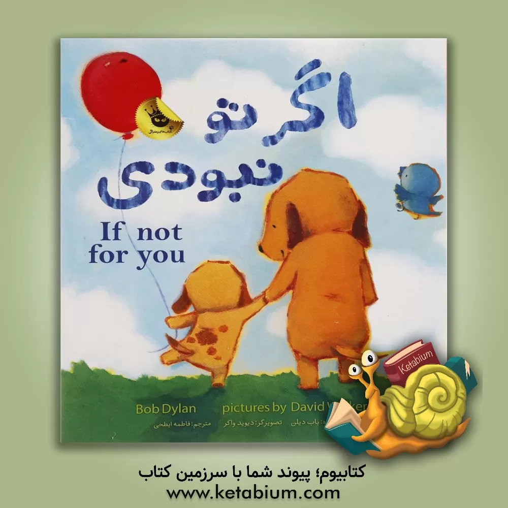 کتاب اگر تو نبودی |اثر باب دیلن