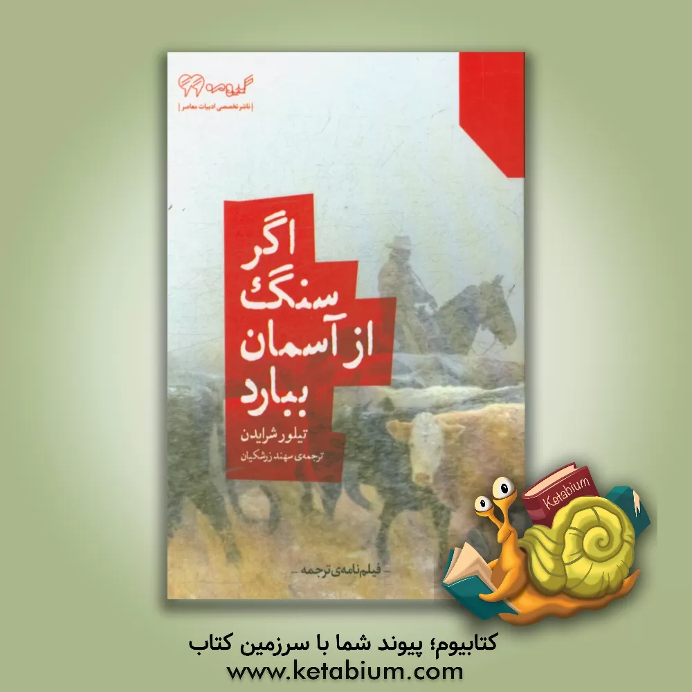 کتاب اگر سنگ از آسمان ببارد: فیلمنامه اثر تیلور شرایدن