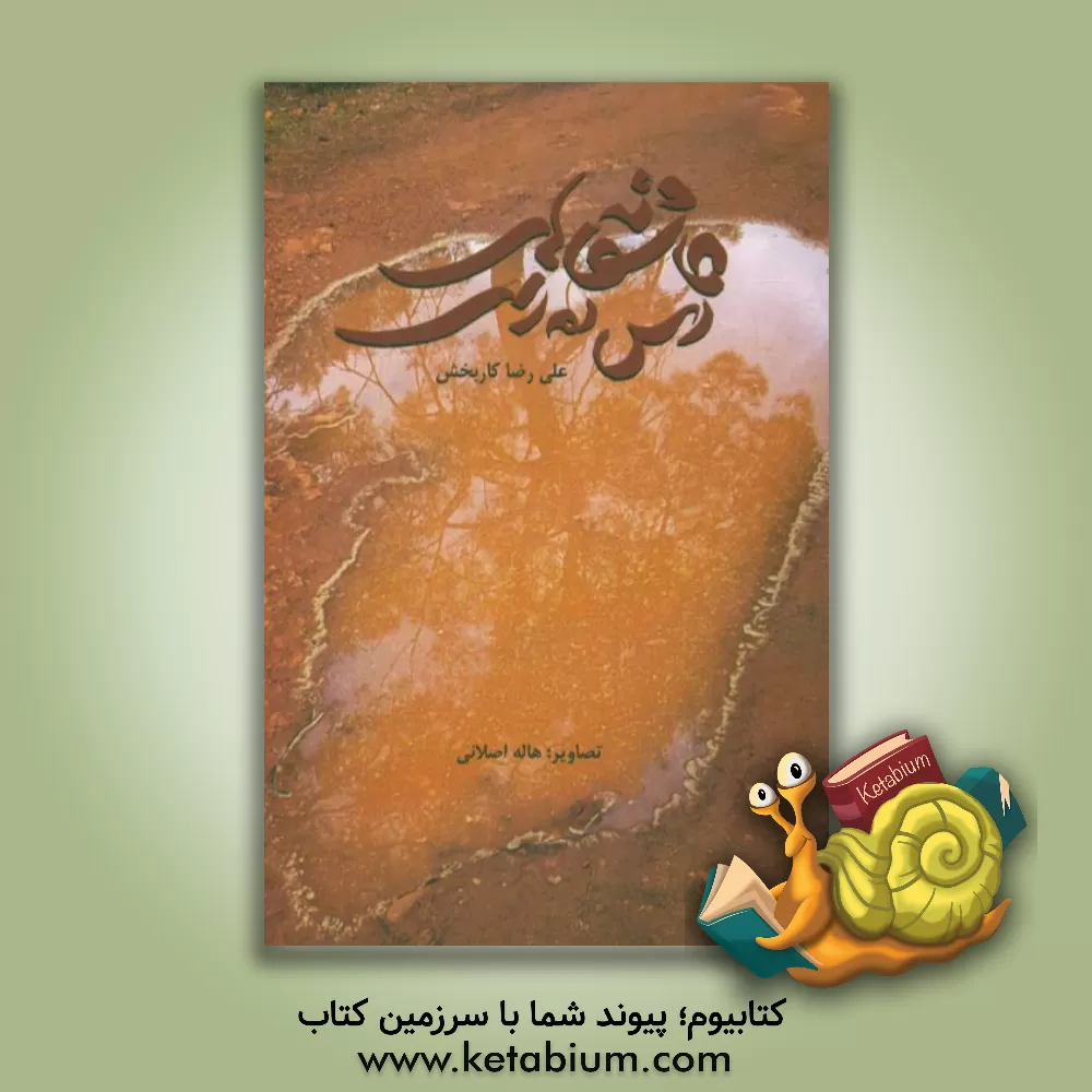 کتاب عاشقانه های اس ام اسی اثر علی‌رضا کاربخش